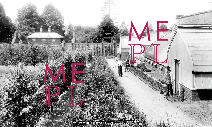  : Pell Wall Hall, Kitchen Garden 1911