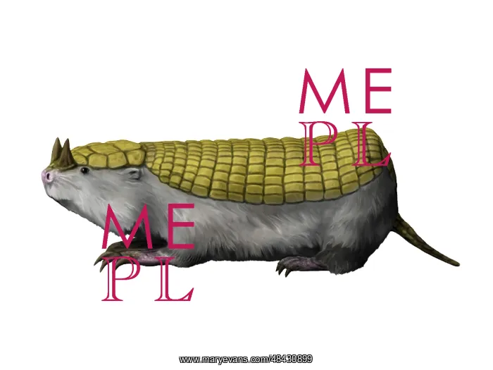 : Peltephilus is a xenarthran mammal from the Miocene epoch : Peltephilus is a xenarthran mammal from the Miocene epoch