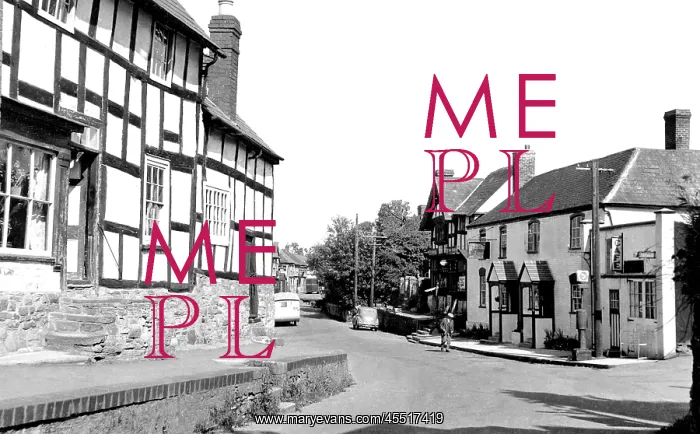  : Pembridge, Red Lion Corner c1965