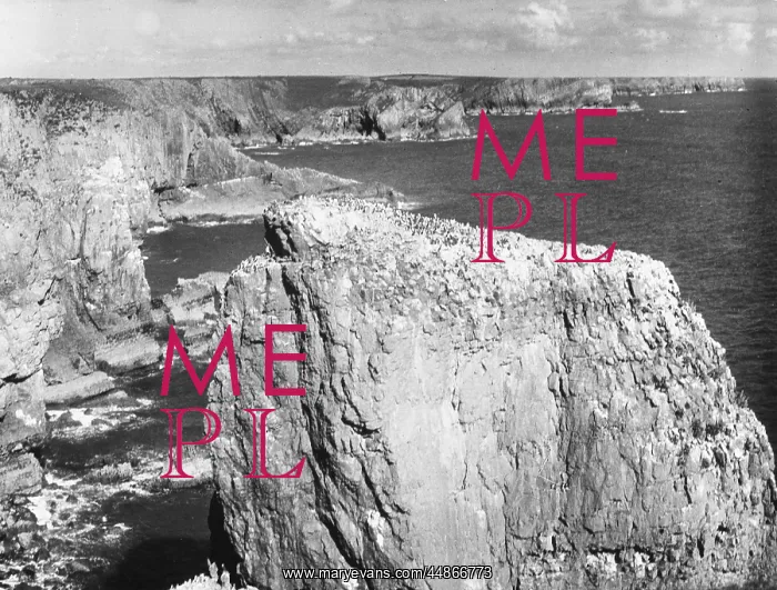 : PEMBROKESHIRE COASTLINE : PEMBROKESHIRE COASTLINE