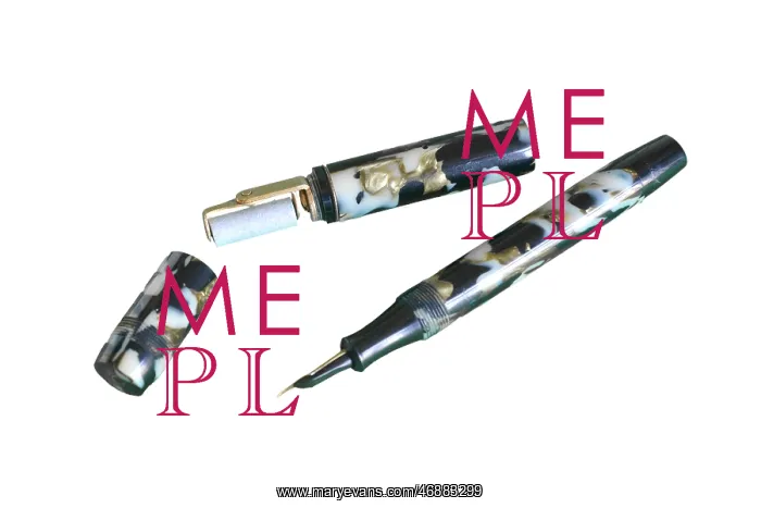  : Pen with Blotter