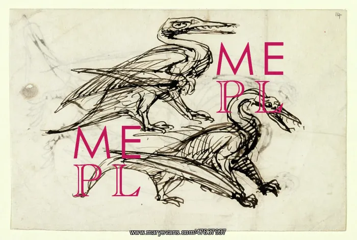 : Pen & ink sketch of pterodactyl : Pen & ink sketch of pterodactyl