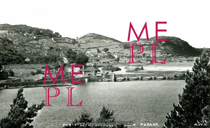  : Pen-y-Llyn Bridge, Llyn Pardarn, Wales
