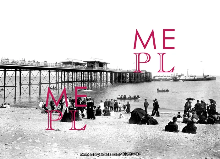  : Penarth, the Pier and Steamer 1896