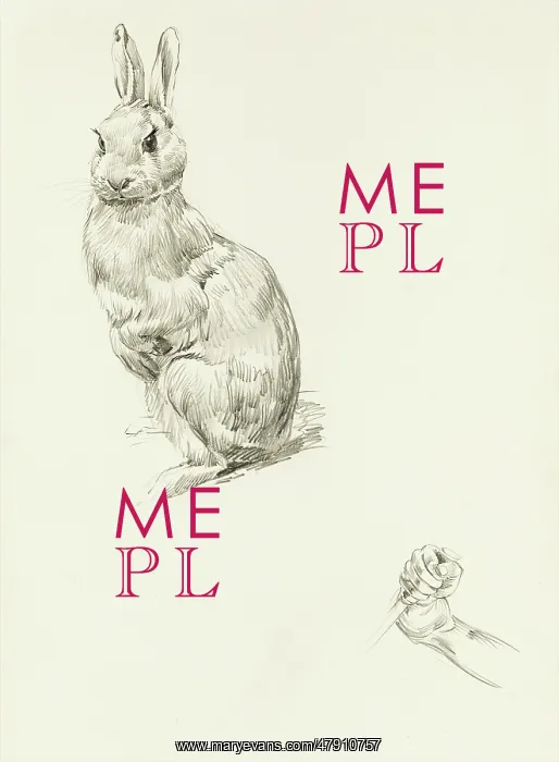: Pencil studies of a rabbit and grasping fist : Pencil studies of a rabbit and grasping fist
