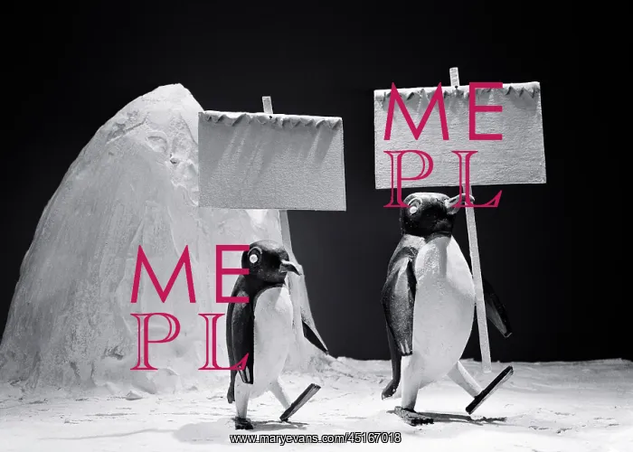 : Two Penguin Figures Marching with Blank Empty : Two Penguin Figures Marching with Blank Empty