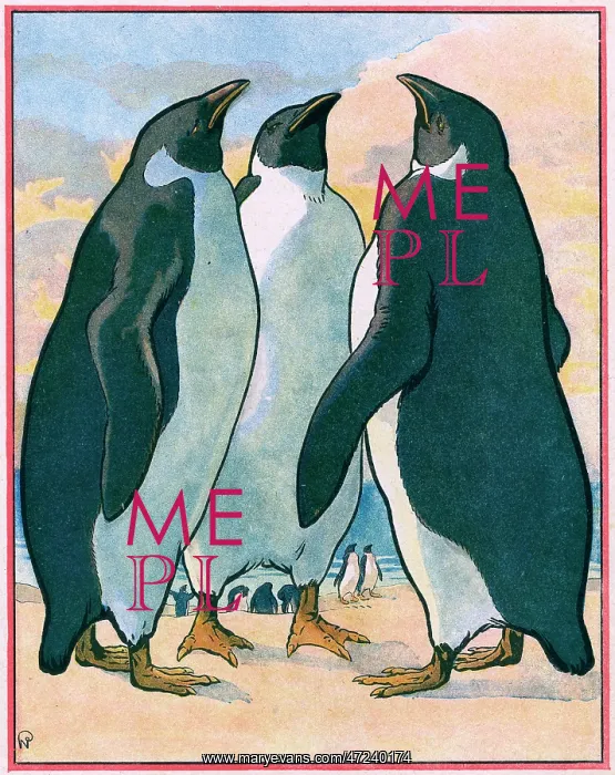 : PENGUINS / NEZIERE : PENGUINS / NEZIERE