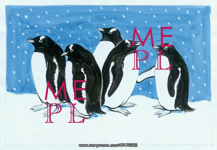  : Penguins in the Snow
