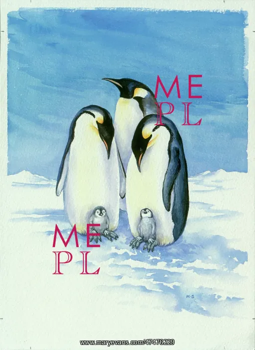 : Penguins with Young in the Snow : Penguins with Young in the Snow