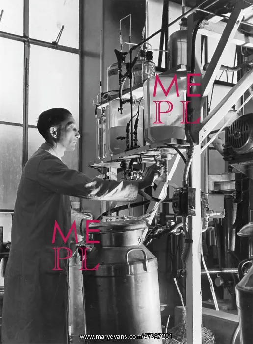 : PENICILLIN PLANT / SANDERS : PENICILLIN PLANT / SANDERS