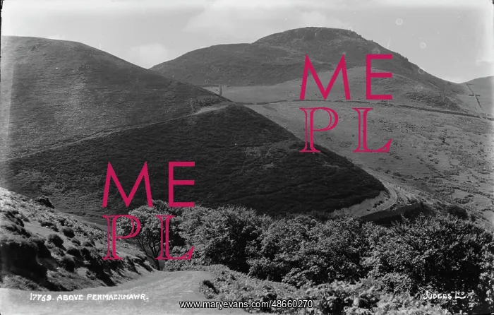 : Above Penmaenmawr : Above Penmaenmawr