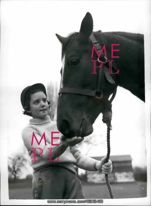 : Penny Stephenson with pony Miss Windsor : Penny Stephenson with pony Miss Windsor