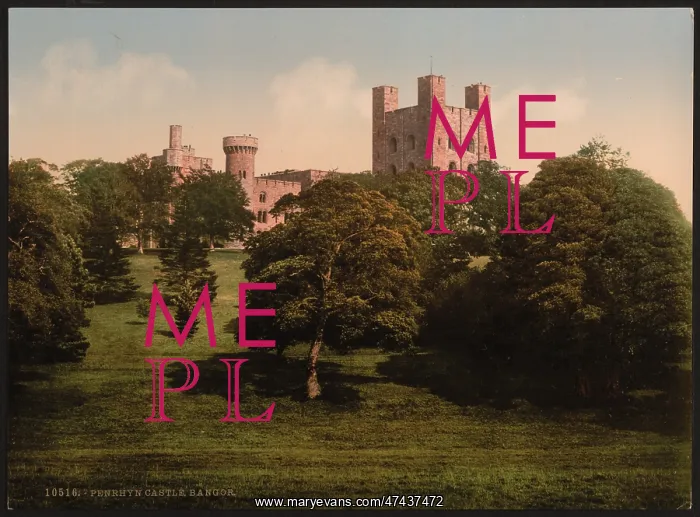 : Penrhyn Castle, Bangor, Wales : Penrhyn Castle, Bangor, Wales