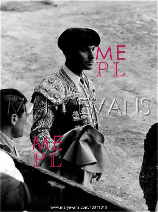 : PENSIVE MATADOR : PENSIVE MATADOR