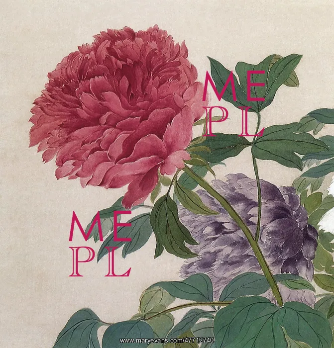  : Peonies