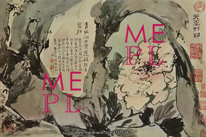  : Peonies and Rocks
