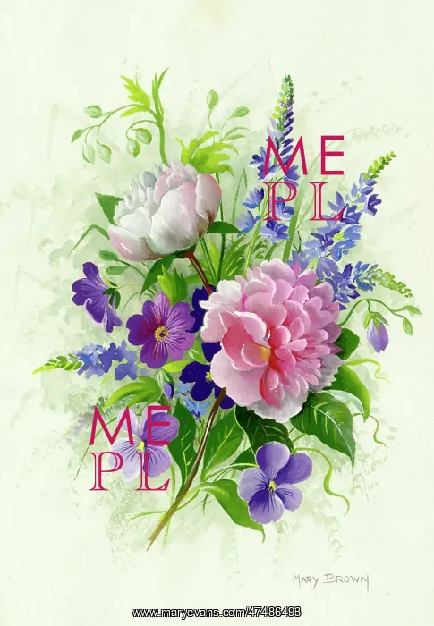  : Peonies, Veronica, etc