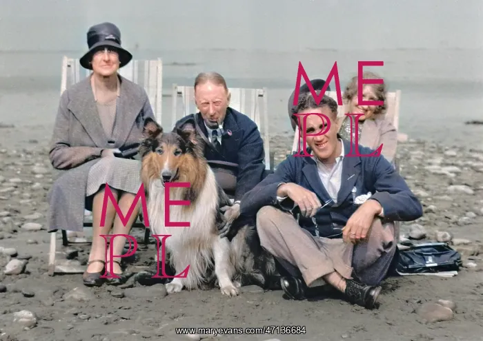 : Four people on beach with collie dog : Four people on beach with collie dog
