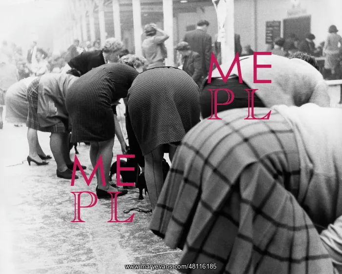: People bending over at a dog show : People bending over at a dog show