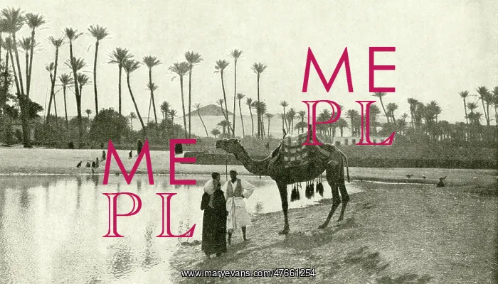 : People with camel by the waterside, Sakkara, Egypt : People with camel by the waterside, Sakkara, Egypt
