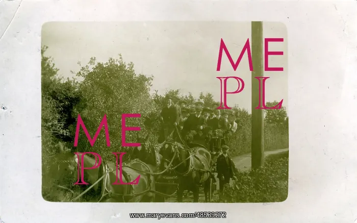 : People & Carriage with Three Horses, Tiverton, Devon : People & Carriage with Three Horses, Tiverton, Devon