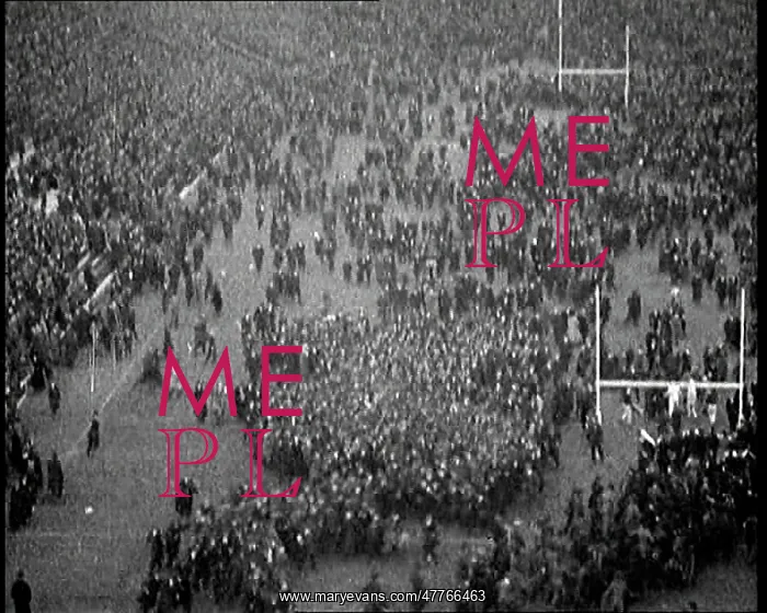 : People Crowding the Pitch After An American : People Crowding the Pitch After An American