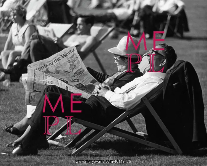 : People in deckchairs in a park : People in deckchairs in a park