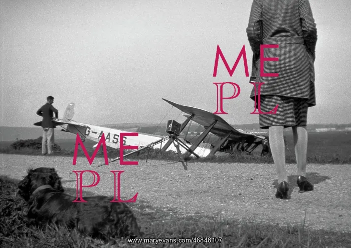 : People and dog with crashed biplane : People and dog with crashed biplane