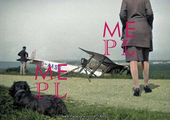: People and dog with crashed biplane : People and dog with crashed biplane