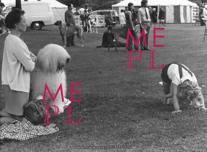 : People at a dog show in a park : People at a dog show in a park
