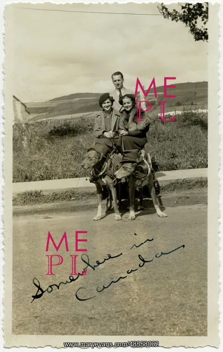 : Three people with two dogs in Canada : Three people with two dogs in Canada