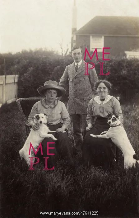 : Three people with two dogs in a garden : Three people with two dogs in a garden