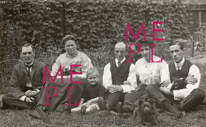  : Six people and two dogs in a garden