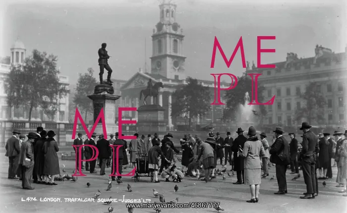 : People Gathering at Trafalgar Square : People Gathering at Trafalgar Square