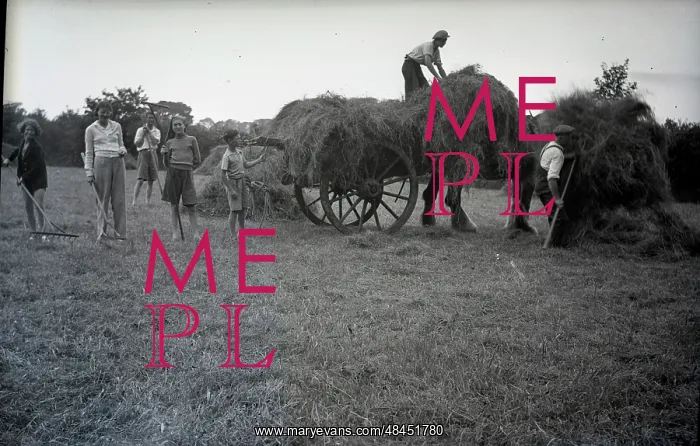  : People haymaking