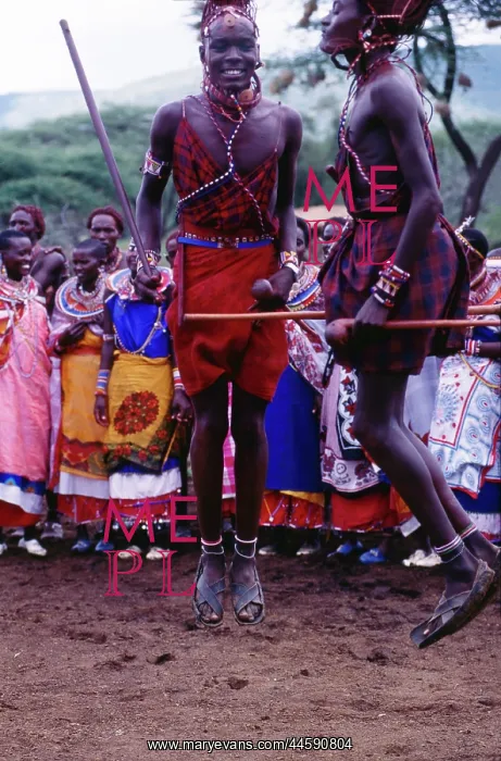 : People of Kenya: Maasai boys jumping the bouncing : People of Kenya: Maasai boys jumping the bouncing
