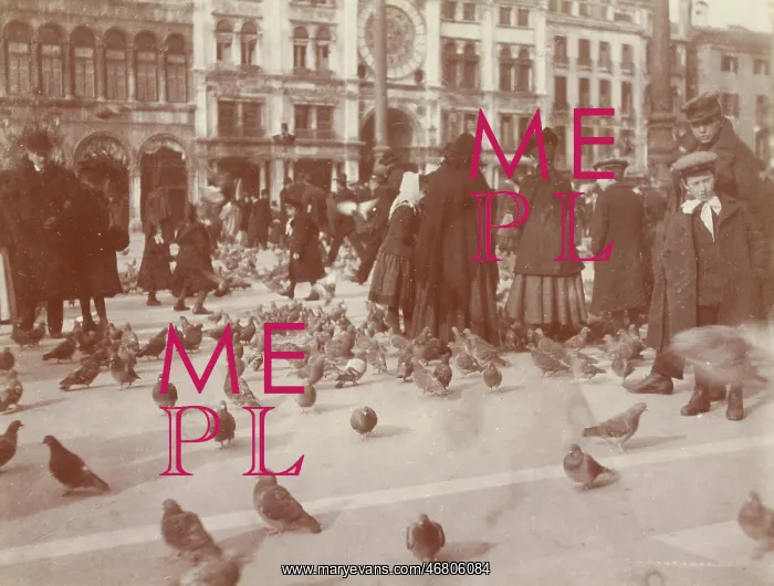 : People and pigeons on St. Mark's Square in Venice : People and pigeons on St. Mark's Square in Venice