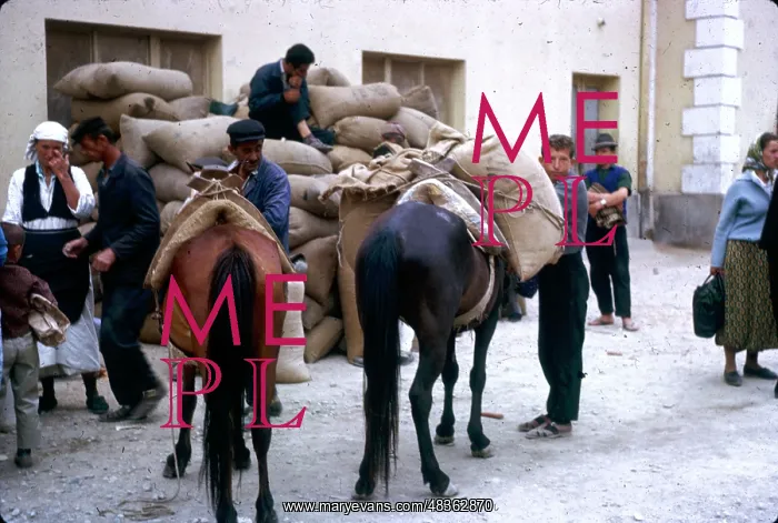 : People with ponies and sacks, Yugoslavia : People with ponies and sacks, Yugoslavia