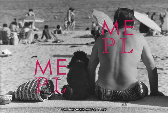 : People relaxing on a beach : People relaxing on a beach