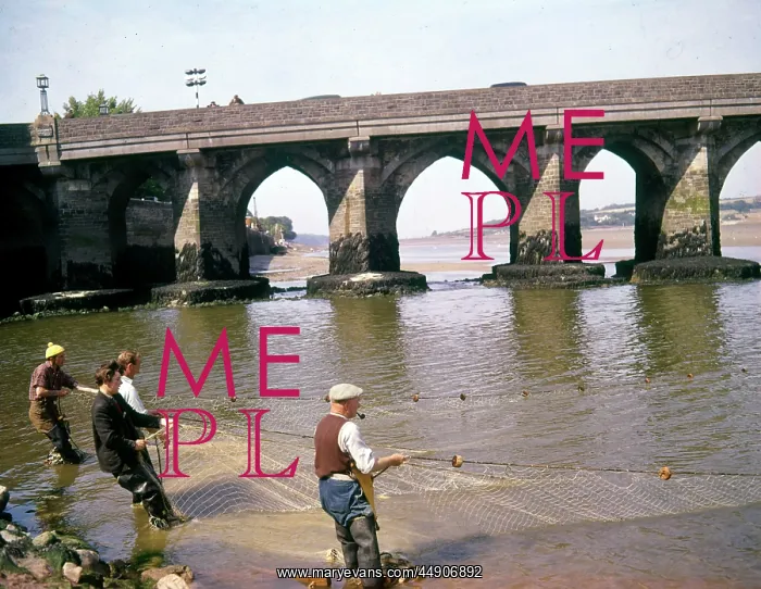 : People salmon netting at Bideford, Devon : People salmon netting at Bideford, Devon