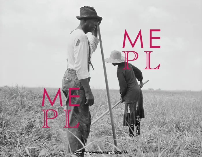 : People - Sharecropper - Farm - Agriculture : People - Sharecropper - Farm - Agriculture