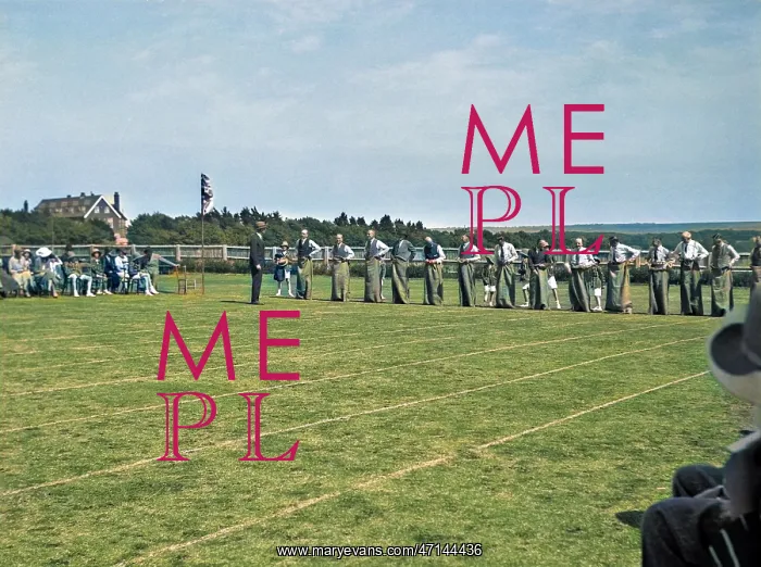: People at a sports event in a field : People at a sports event in a field
