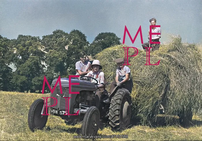 : Four people with a tractor in a field : Four people with a tractor in a field