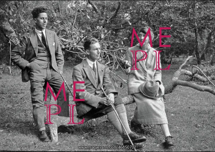 : Three people with tree branch : Three people with tree branch