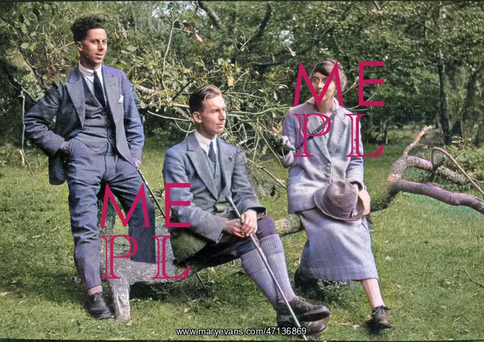 : Three people with tree branch : Three people with tree branch