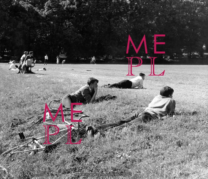 : People watching unseen activity in a sunny park : People watching unseen activity in a sunny park
