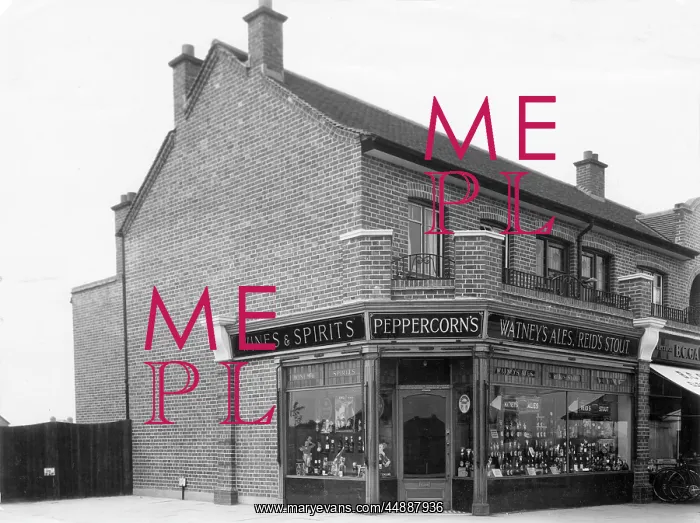 : PEPPERCORN'S OFF LICENCE : PEPPERCORN'S OFF LICENCE