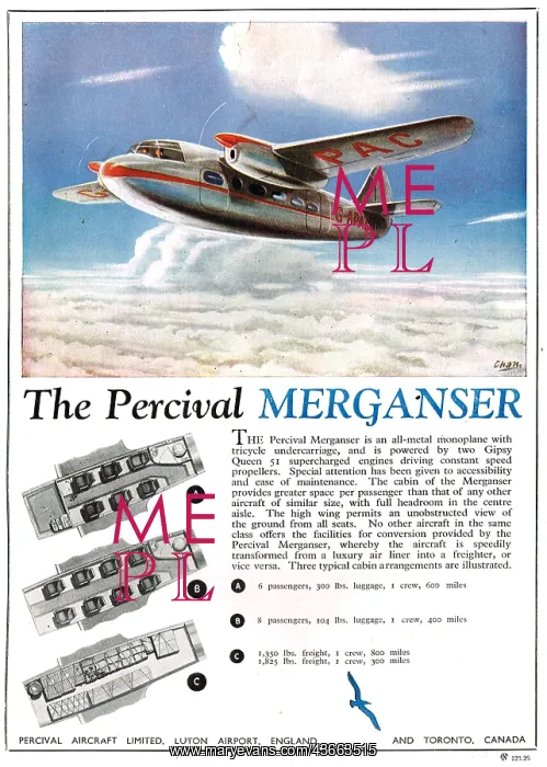  : Percival Merganser