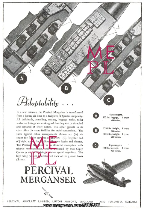  : Percival Merganser