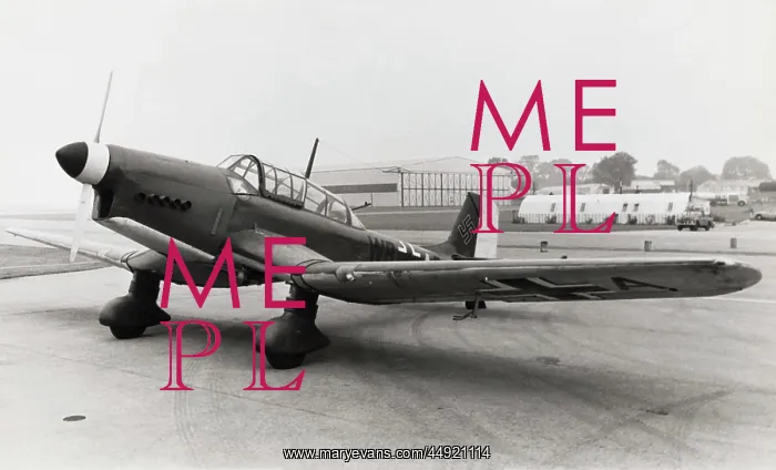 : Percival P-44 Proctor : Percival P-44 Proctor